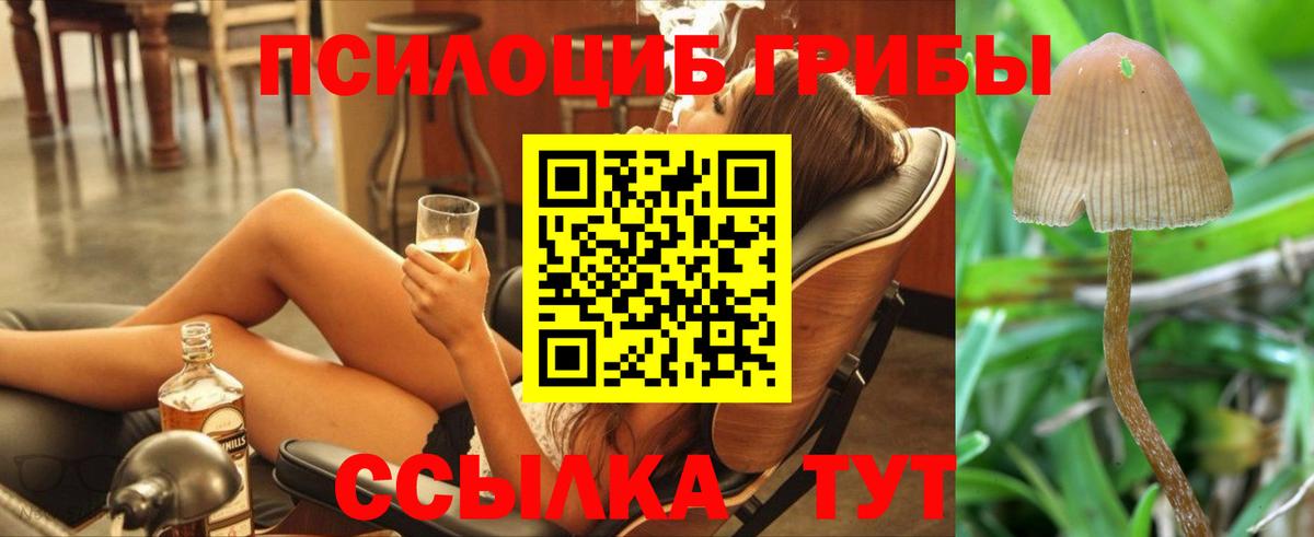 Псилоцибиновые грибы прущие грибы Вичуга